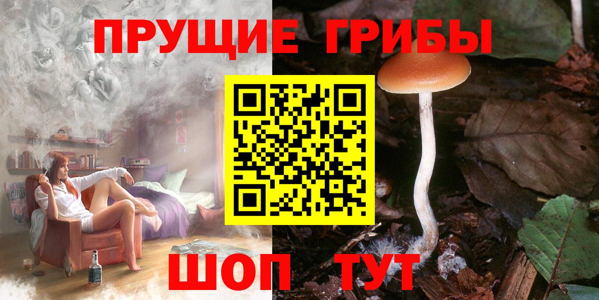 Псилоцибиновые грибы мицелий  Вход с VPN  Ноябрьск  Псилоцибиновые грибы Magic Shrooms 